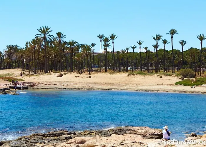 Apartment Brisas Del Mar Azul *